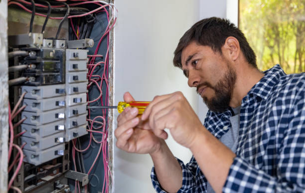 Best Generator Installation Services  in Lomira, WI